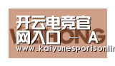 开云电竞合作伙伴三