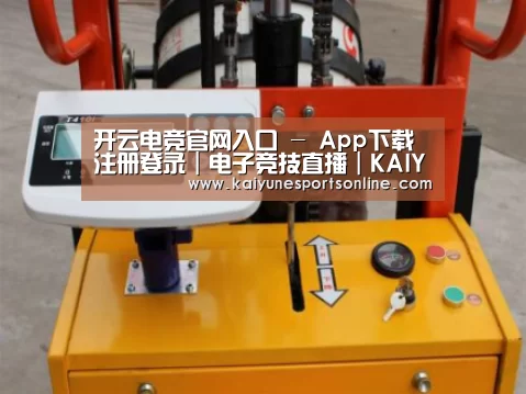 开云电竞案例展示三(图1)