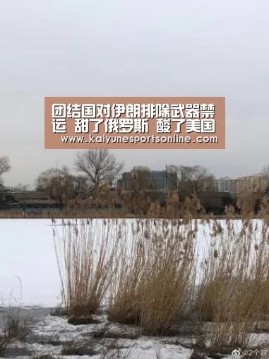 团结国对伊朗排除武器禁运 甜了俄罗斯 酸了美国【开云电竞官网】(图2) 电竞官网