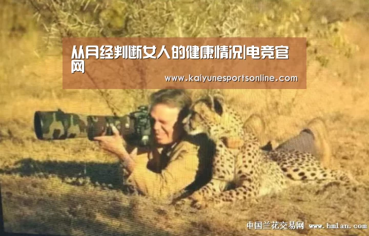 LOL直播