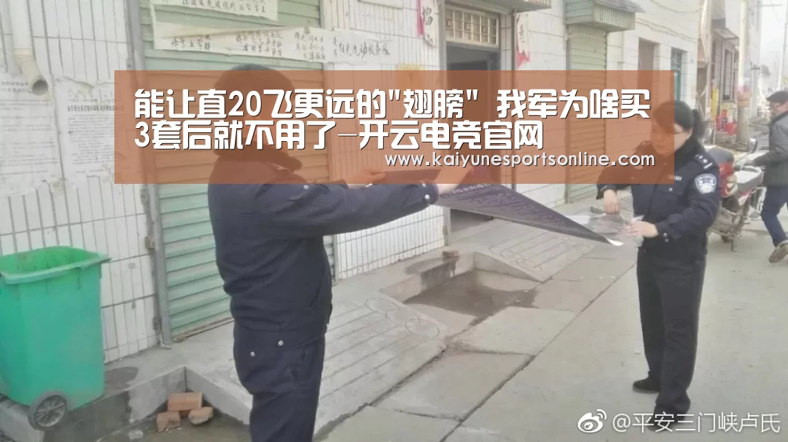 能让直20飞更远的翅膀 我军为啥买3套后就不用了-开云电竞官网(图4) LOL直播