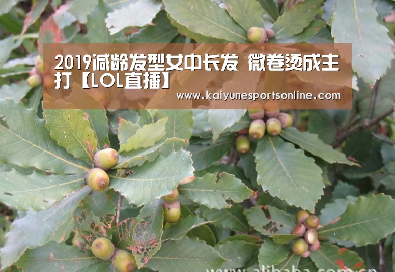 2019减龄发型女中长发 微卷烫成主打【LOL直播】(图3) 开云电竞官网