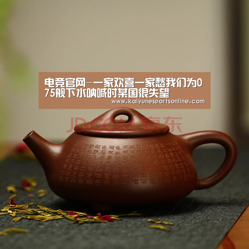 电竞官网-一家欢喜一家愁我们为075舰下水呐喊时某国很失望(图4) 开云电竞官网