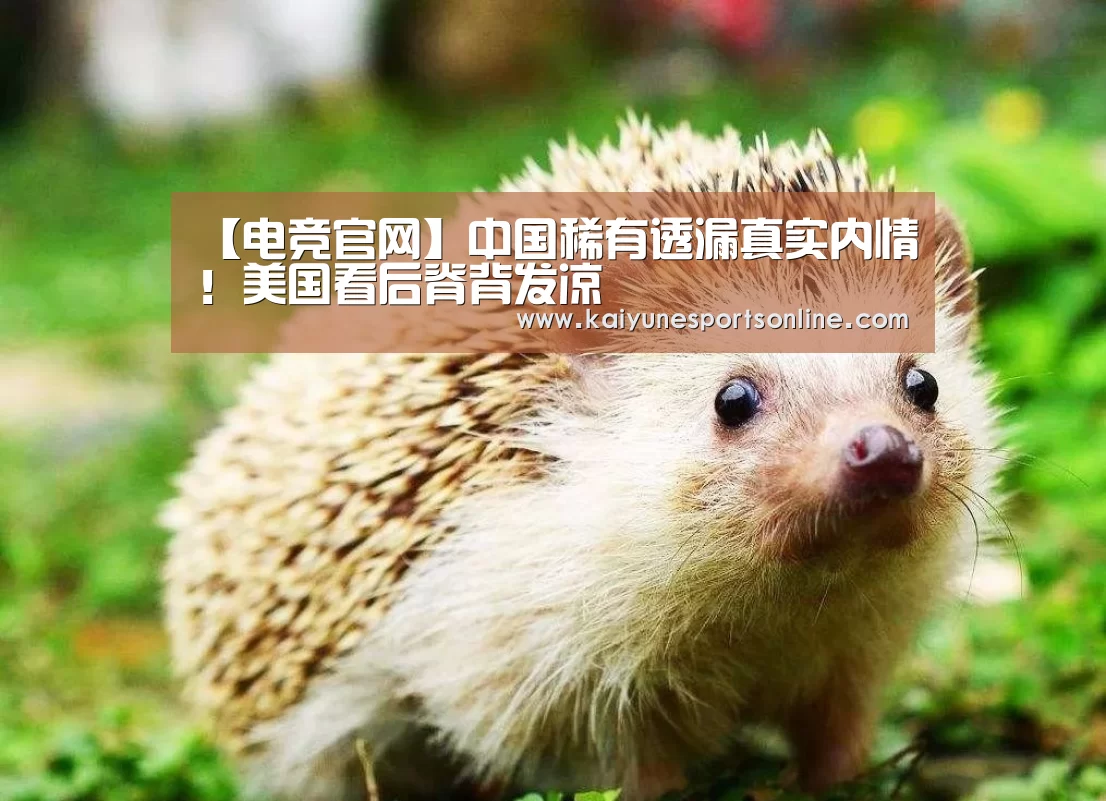【电竞官网】中国稀有透漏真实内情!美国看后脊背发凉(图2) 开云电竞