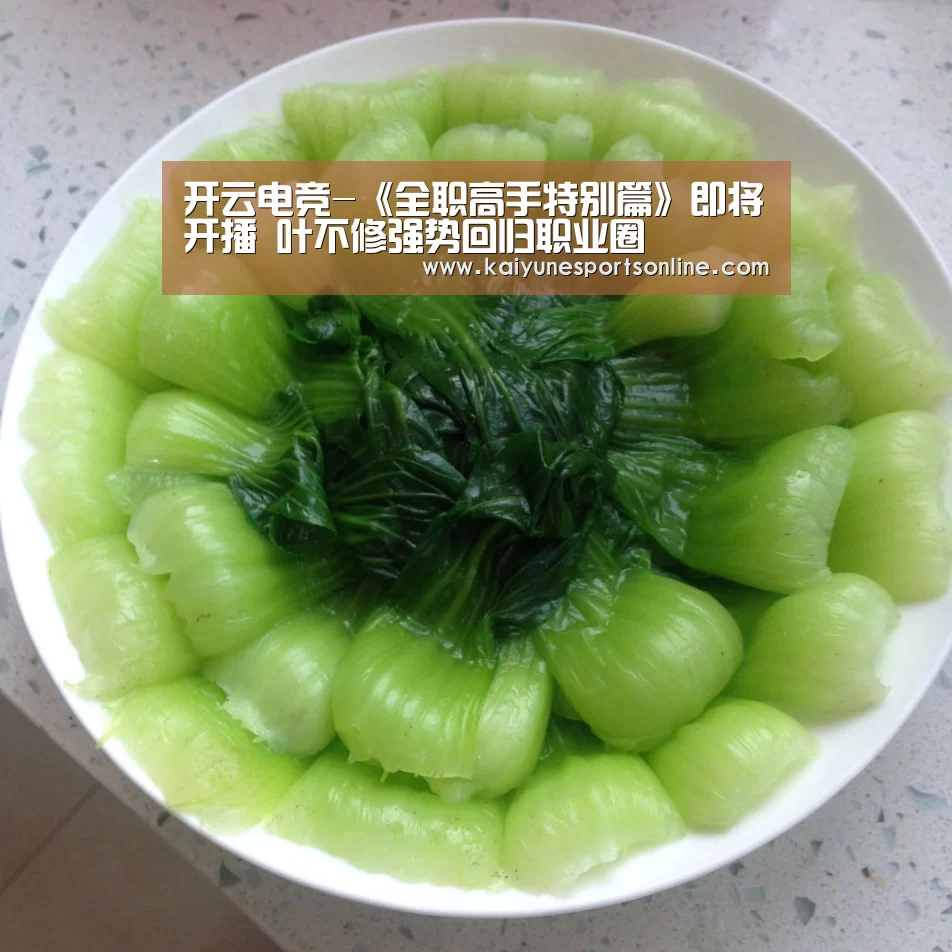 开云电竞-《全职高手特别篇》即将开播 叶不修强势回归职业圈(图2) LOL直播