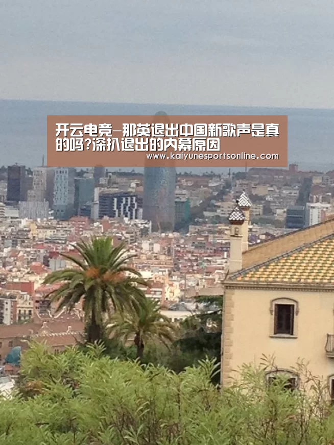 开云电竞-那英退出中国新歌声是真的吗?深扒退出的内幕原因(图3) 开云电竞官网